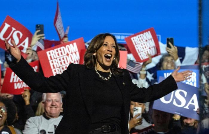 Selzer, diese Umfrage in Iowa könnte zu einem großen Sieg für Kamala Harris führen