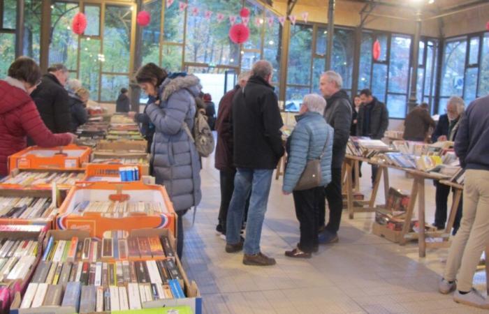 Die USV Boxe Used Book Fair kehrt am 9. und 10. November zurück