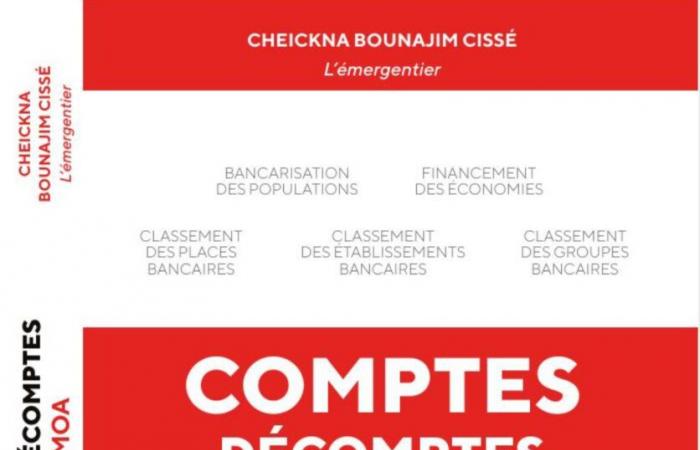 Cheikhna Cissé über ihr neues Buch: „ACCOUNTS, COUNTS, DISCOUNTS OF WAMU BANKS“