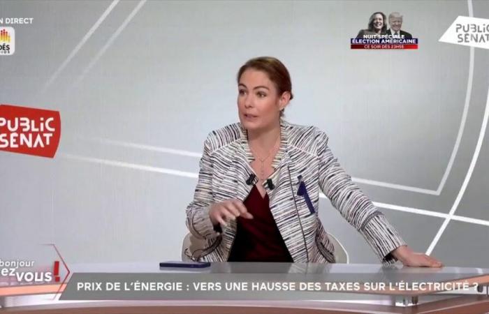 Energiepreise: „Der Zollschutz ist vorbei, Frankreich kann ihn sich nicht mehr leisten“, versichert Olga Givernet