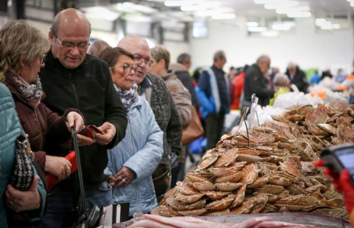 Welchen Preis gibt es für die Jakobsmuschel für Le Goût du Large an diesem Wochenende?