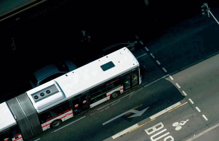 TCL. Aufgrund der Brände am Freitag, dem 1. November, fahren in Rillieux keine Busse mehr