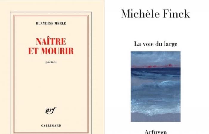 Der Apollinaire-Preis 2024 geht an Michèle Finck