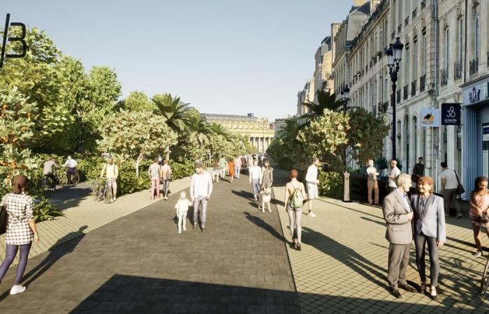 Fahrräder und Autos, warum so viel Hass? Die Welt danach, so der Architekt, der die Straßen von Bordeaux erneut besucht