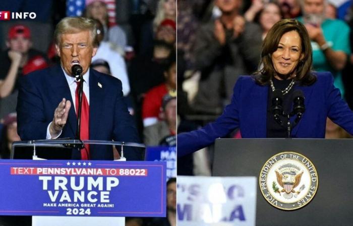 US-Präsidentschaftswahl: Donald Trump oder Kamala Harris, was sagen die Umfragen am Wahltag?