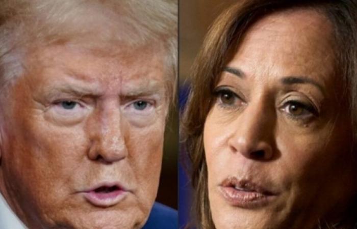 US-Präsidentschaftswahl 2024: Donald Trump liegt bei 201 Wählern, Kamala Harris bei 91, die Ergebnisse in den Schlüsselstaaten werden entscheidend sein