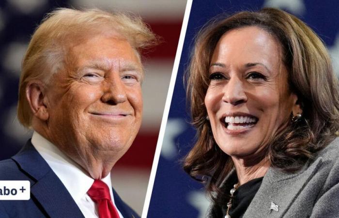 Harris oder Trump? Szenarien über den Ausgang der Präsidentenwahl