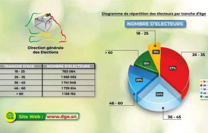 Senegal: Die DGE gibt die Verteilung der Wählerschaft nach Alter an | APAnews