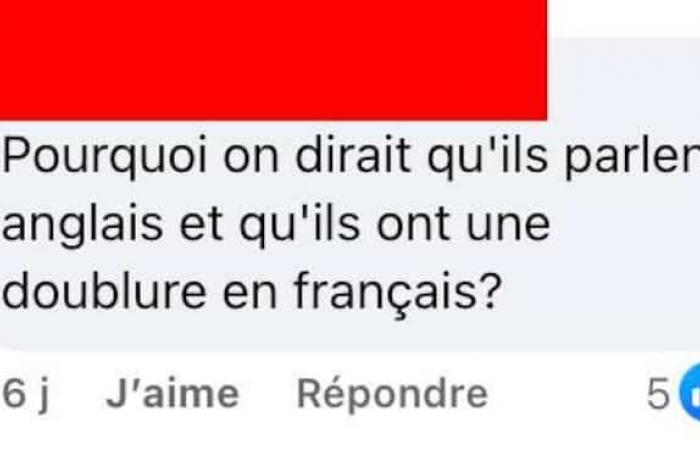 Diese amerikanische Serie, die auf einer Geschichte aus Quebec basiert, wurde auf Englisch mit Schauspielern aus Quebec gedreht, die sich für die französische Fassung selbst synchronisierten, und alle waren gut involviert.