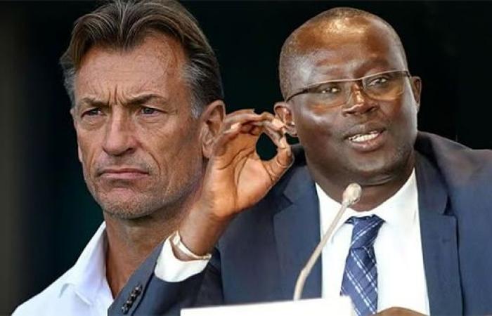 Stabslöwen – Me Senghor lehnt Hervé Renard ab: „Ich habe keine Akte seiner Bewerbung erhalten“ – Lequotidien