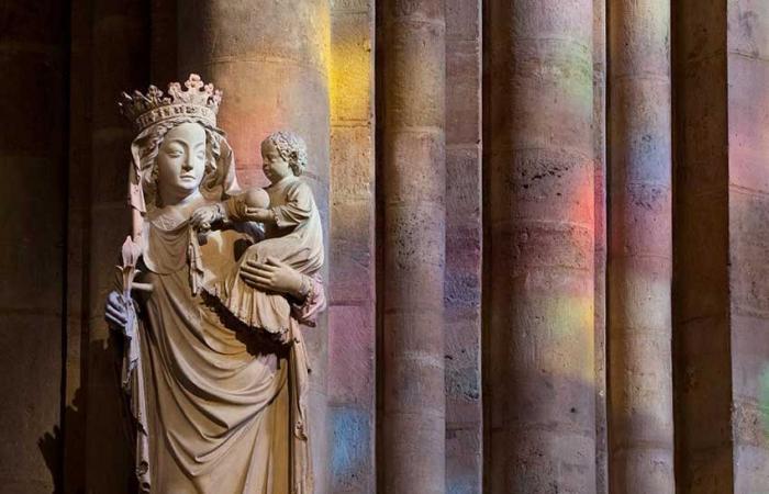 Notre-Dame, ein Erbe zum Weitergeben