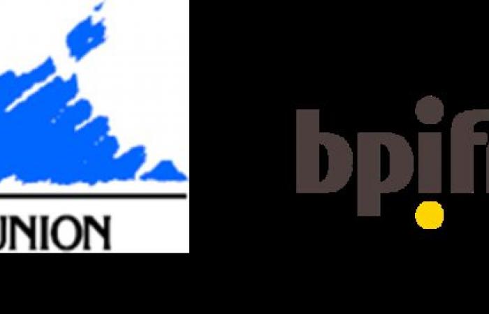 Die Region Réunion und Bpifrance haben das „Réunion Recovery Loan“ aufgelegt, das den Cashflow von VSEs und KMU unterstützen soll, die ein Entwicklungsprogramm finanzieren möchten – Bpifrance 2024