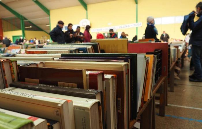 In Vendôme rettet er Tonnen von Büchern, deren Zerstörung versprochen wurde