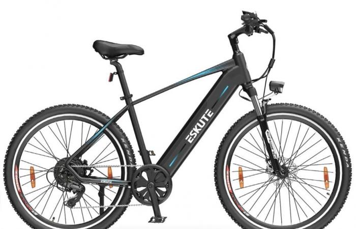 Banggood senkt die Preise für das Elektrofahrrad ESKUTE Netuno PLUS