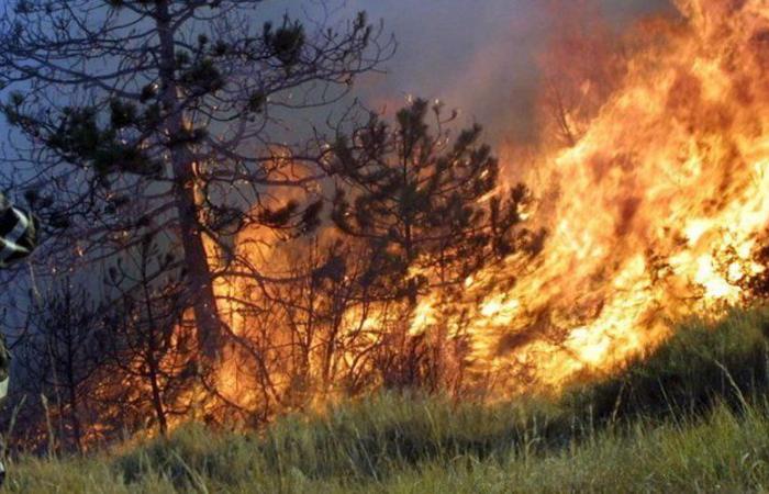 Er wollte die Bindungen seines Teams „festigen“: Ein ehemaliger Feuerwehrchef wurde wegen sechs Brandstiftungen zu drei Jahren Gefängnis verurteilt