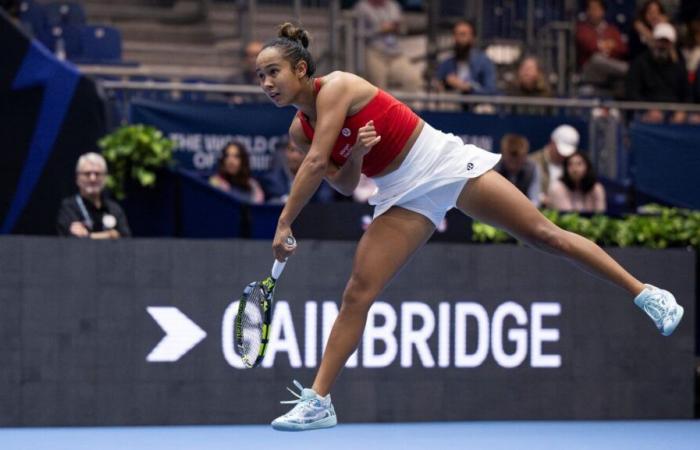 Verfolgen Sie die Spiele des Team Canada beim Billie Jean King Cup- und Davis Cup-Finale auf TVA Sports und auf den digitalen Plattformen von CBC Sports