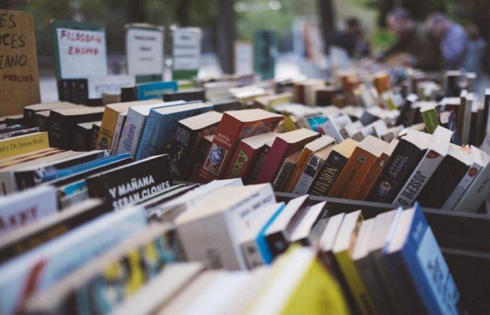 Ein außergewöhnlicher Verkauf von Büchern zwischen 50 Cent und einem Euro, organisiert in Verdun