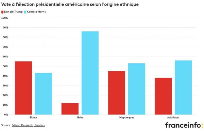 Wen haben Frauen, Jugendliche oder ethnische Minderheiten gewählt?