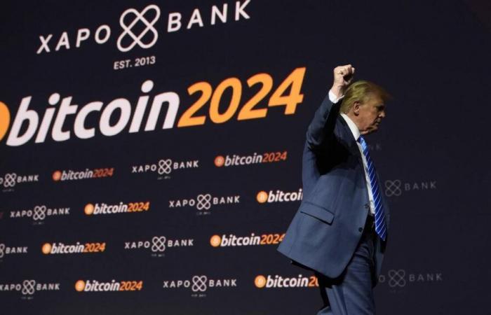 Aufgrund der Möglichkeit eines Trump-Sieges erreicht Bitcoin mit 75.000 US-Dollar einen Rekord