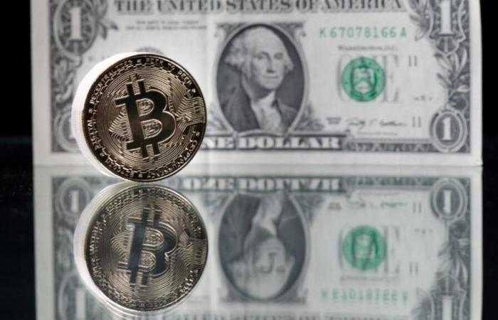 US-Präsidentschaftswahl: Der Dollar steigt und Bitcoin bricht seinen historischen Rekord