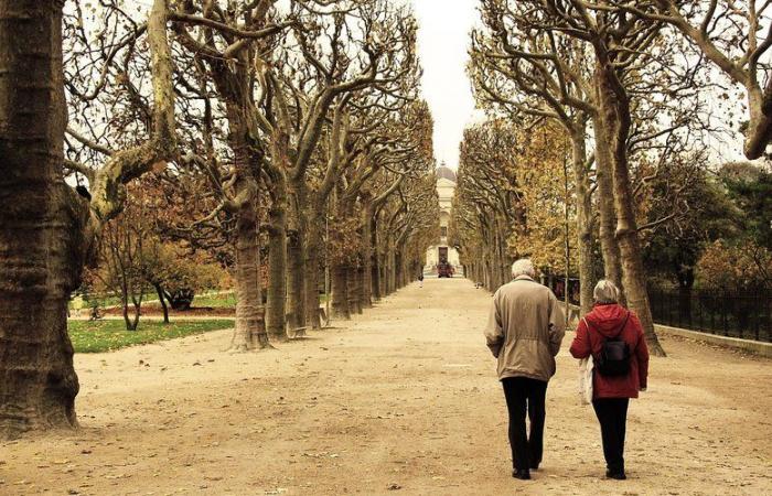 „Jeden Tag leiden wir“: Ein paar amerikanische Expatriates kehren nach einem Jahr in die Vereinigten Staaten zurück und können das Leben in Frankreich nicht mehr ertragen