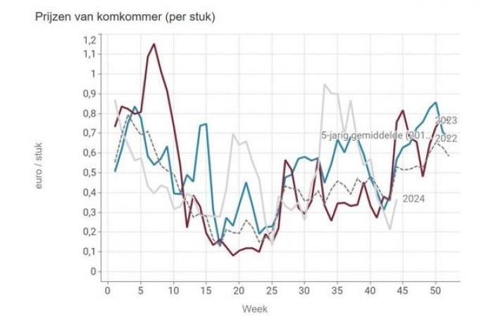 Die Gurkenpreise erholen sich