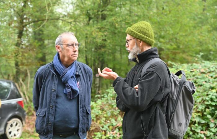 Ländliche Wege, Juwelen zum Sparen und Fördern