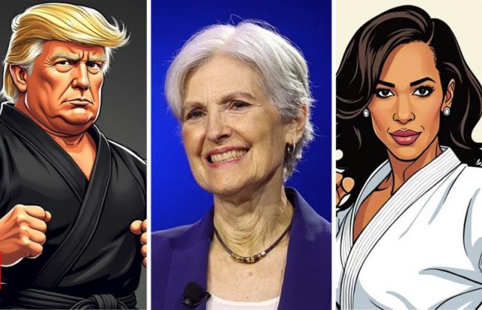 Einfluss von Jill Stein auf die US-Wahl 2024: US-Wahl 2024: Hat Jill Stein Donald Trump dabei geholfen, Kamala Harris im entscheidenden Wendezustand zu verdrängen? | Weltnachrichten