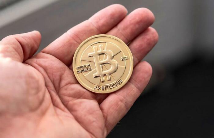 Finanzen: Bitcoin erreicht neuen Höchstwert von mehr als 75’000 Dollar