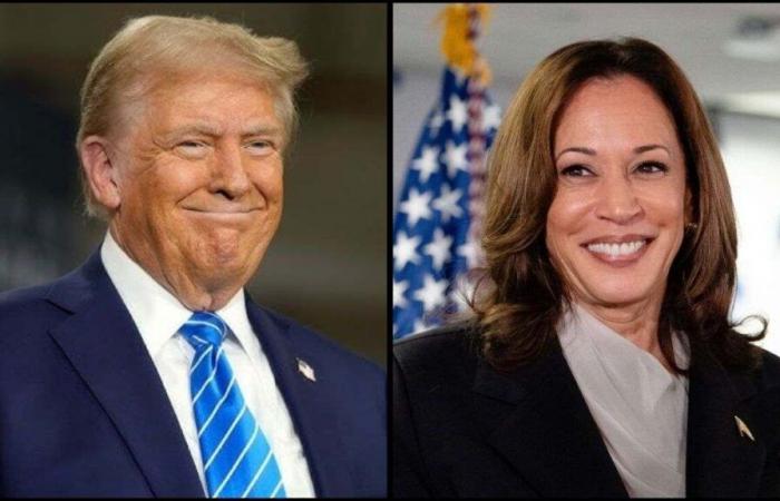 Was wäre, wenn Trump und Harris unentschieden wären? Wie wird der Gewinner ermittelt?