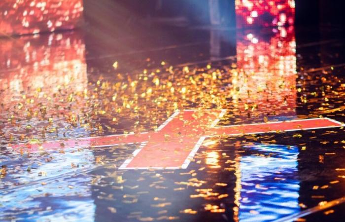 In der 19. Staffel von „LFAUIT“ wurde der Platinum Buzzer an „Spezialisten“ der Show verliehen