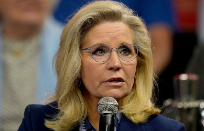 Liz Cheney fordert Amerikaner auf, Trumps Wahlsieg zu akzeptieren