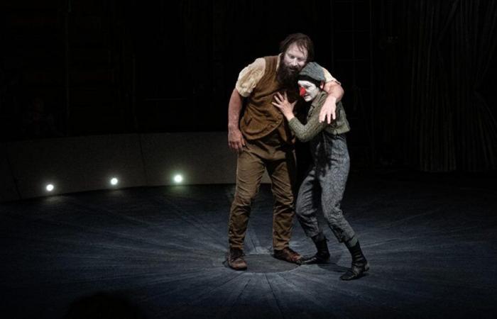 Außergewöhnlicher „Strano“, das neueste Juwel des Cirque Trottola, installiert in Vidy-Lausanne – rts.ch