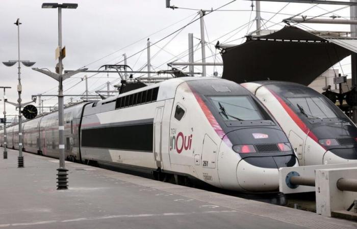 SNCF: Warum die Fahrzeiten auf der Strecke Paris-Lyon-Marseille um 4 Tage verlängert werden