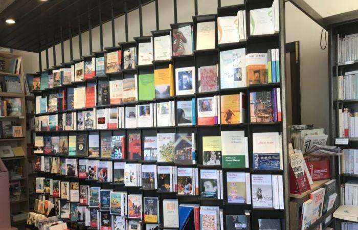 Monat der literarischen Treffen in der Buchhandlung Temps Modernes in Orléans