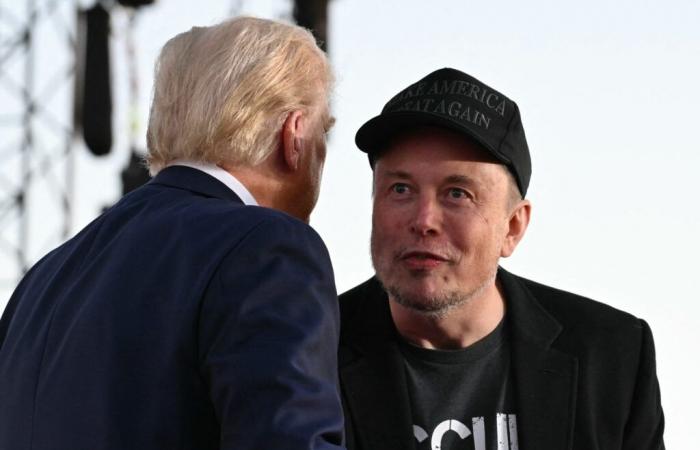 Ist Elon Musk der wahre Vizepräsident von Donald Trump geworden?