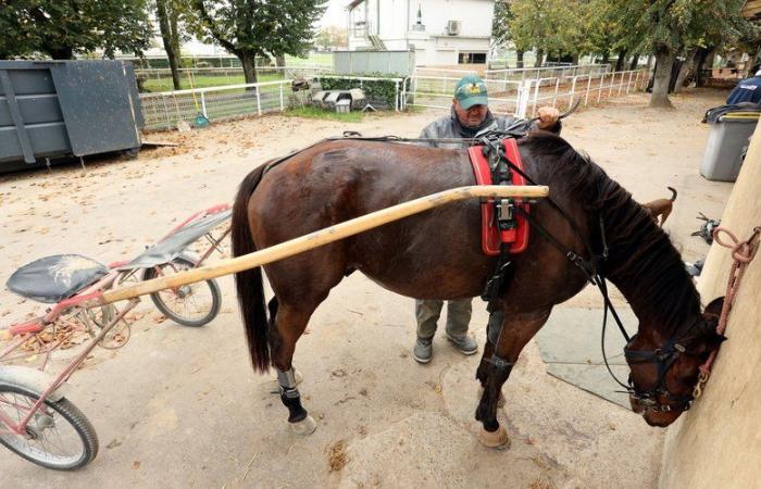 „Kein Spiel, kein Rennen, keine Arbeit“: Pferderennprofis in Tarn-et-Garonne bangen um ihr Schicksal