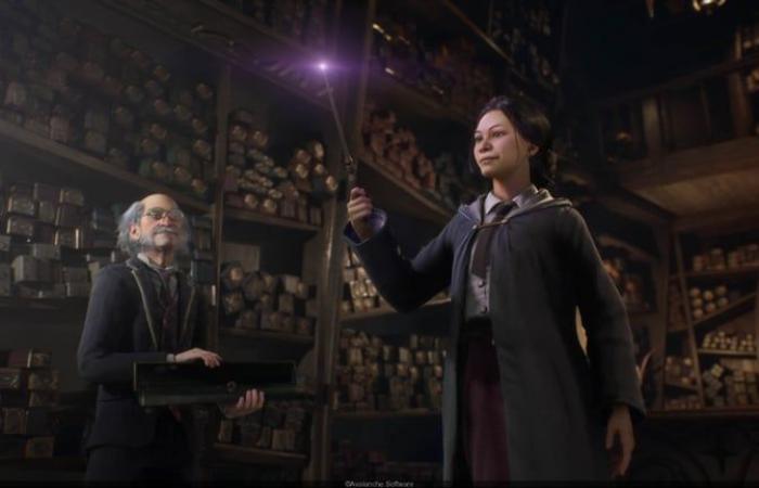 Hogwarts Legacy 2: Das beste Videospiel der Harry-Potter-Reihe bekommt eine Fortsetzung!