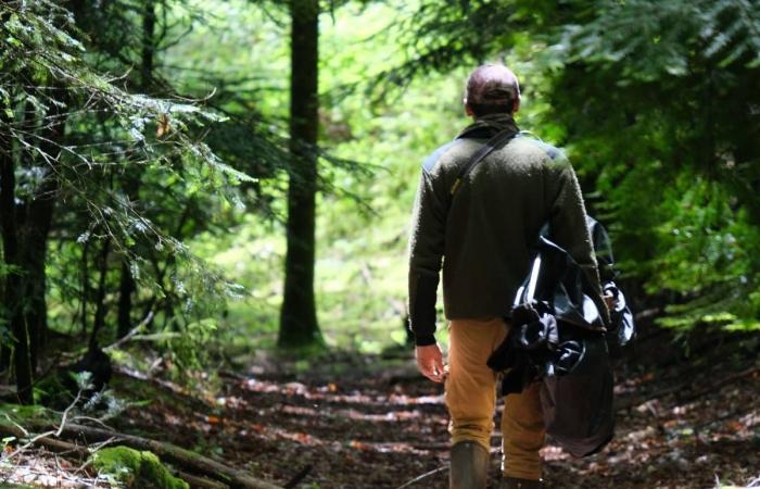 Auf der Suche mit dem Naturfotografen Bastien Prévost in Haute Corrèze