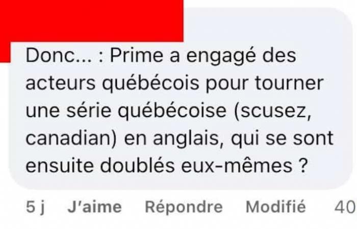 Diese amerikanische Serie, die auf einer Geschichte aus Quebec basiert, wurde auf Englisch mit Schauspielern aus Quebec gedreht, die sich für die französische Fassung selbst synchronisierten, und alle waren gut involviert.