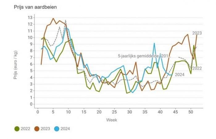 Die Gurkenpreise erholen sich