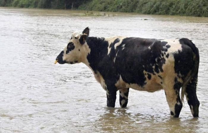 Der für 9 Gemeinden in der Normandie anerkannte Naturkatastrophenzustand