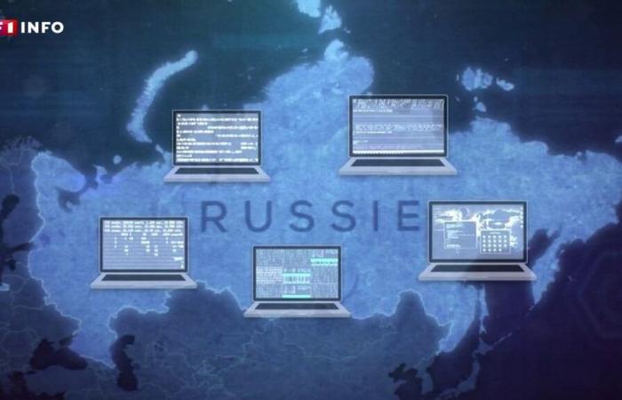 Ausländische Einmischung: Was sind die Spuren eines russischen Manövers bei den amerikanischen Wahlen?