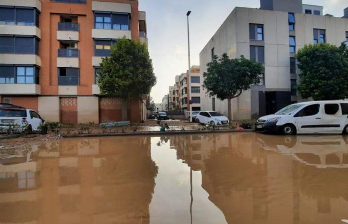 Überschwemmungen in Spanien: In Vaucluse wird Solidarität organisiert