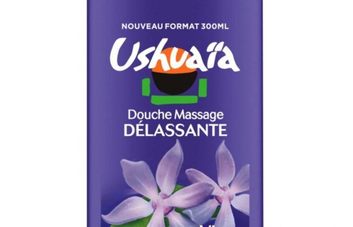 L’Oréal kauft Ushuaïa von TF1 für 28 Millionen