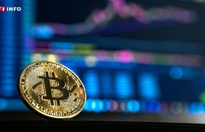 Der Bitcoin-Rekord liegt bei 75.000 US-Dollar, angekurbelt durch einen möglichen Sieg von Donald Trump in den Vereinigten Staaten