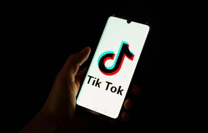 TikTok: Ottawa ordnet Schließung der kanadischen Tochtergesellschaft an