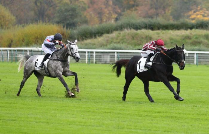 Figuéro gewinnt langsam den Prix Ferdinand Riant in Auteuil