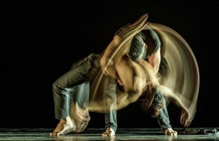 Ali Chahrour und die weinenden Olivenbäume im Bastille-Theater