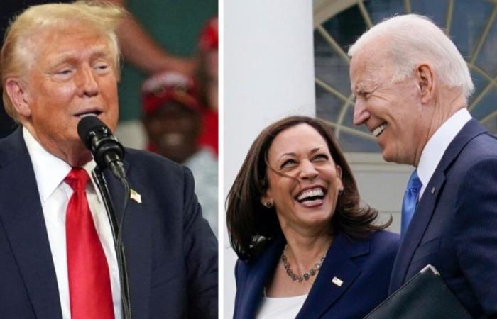 War Joe Biden ein besserer Kandidat als Kamala Harris? Experten für Wahldaten-Schock